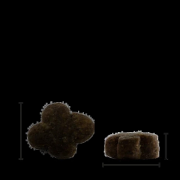 Chicopee Holistic Nature Line Kitten-Храна за котки до 12 месеца с пилешко месо, 8кг 2